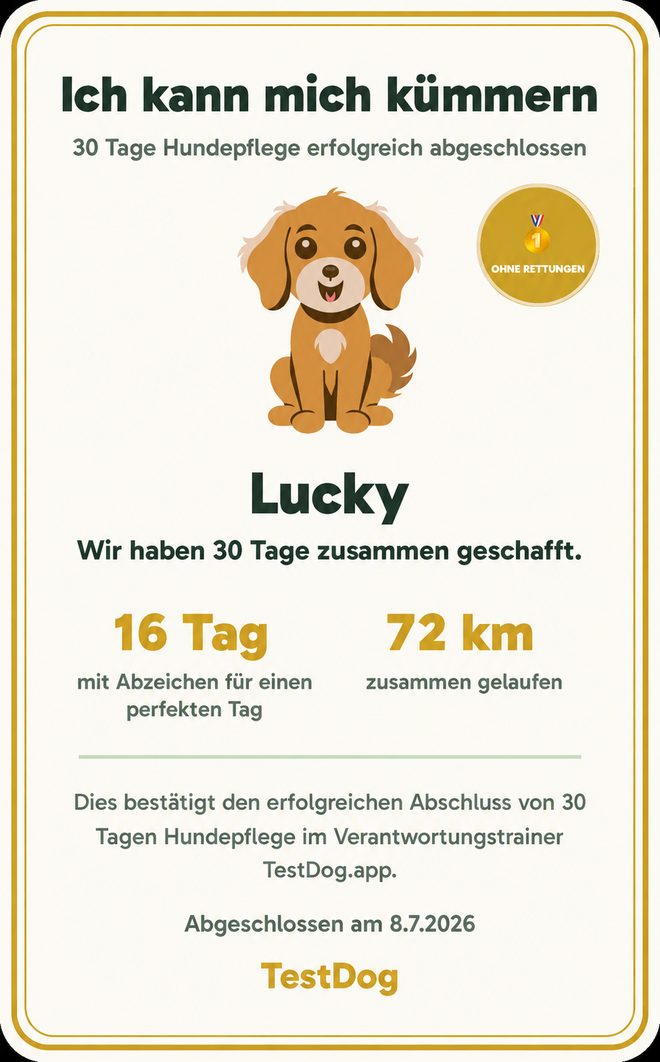 Beispiel-Zertifikat „Ich kann mich um einen Hund kümmern“ aus der TestDog-App