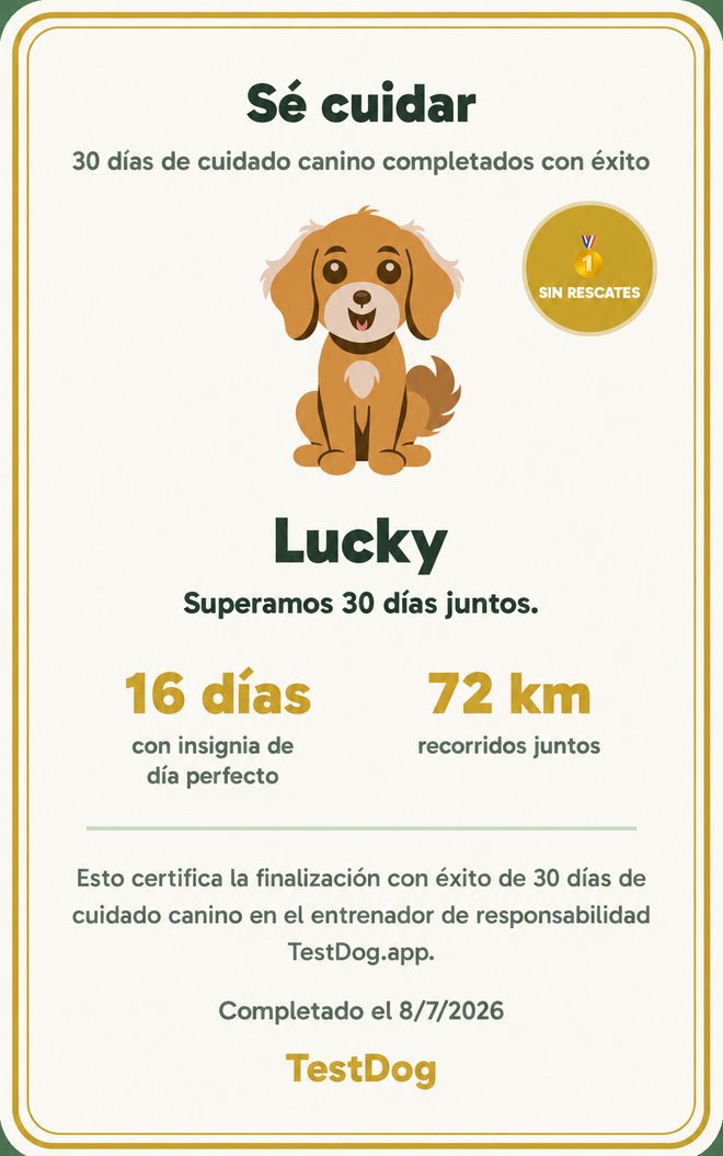 Ejemplo del certificado «Sé cuidar de un perro» de la app TestDog