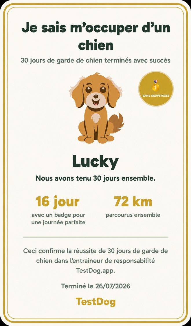 Exemple de certificat « Je sais m’occuper d’un chien » de l’application TestDog