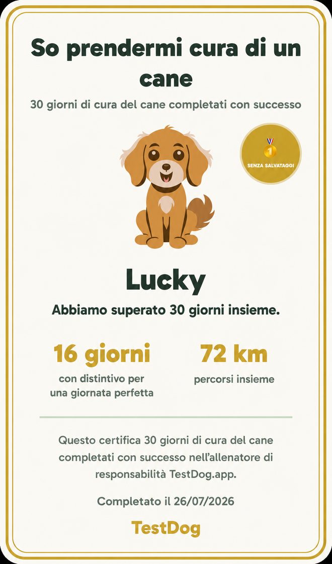 Esempio del certificato «So prendermi cura di un cane» dell’app TestDog
