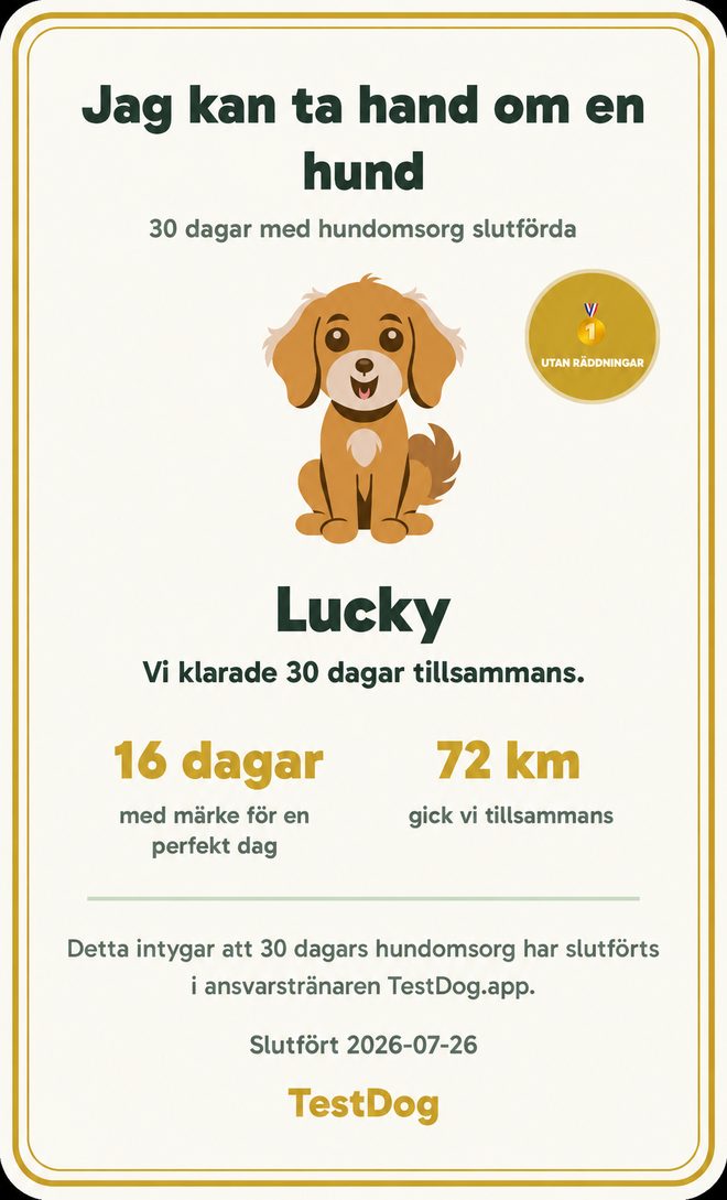 Exempel på certifikatet ”Jag kan ta hand om en hund” från TestDog-appen