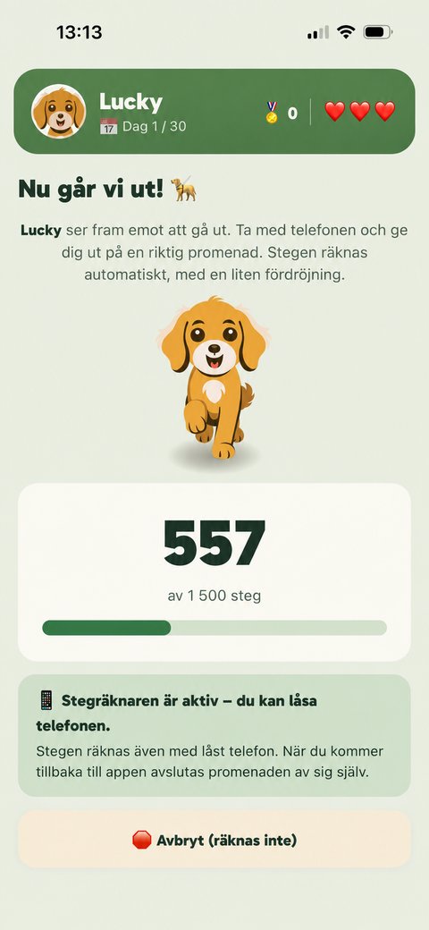 TestDogs promenadskärm: räknar riktiga steg med stegräknaren